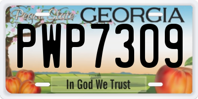 GA license plate PWP7309