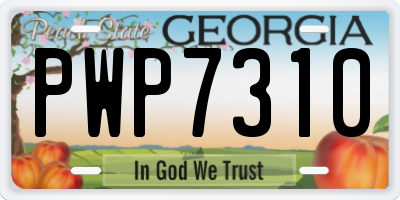 GA license plate PWP7310