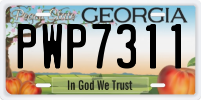 GA license plate PWP7311