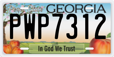 GA license plate PWP7312