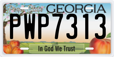 GA license plate PWP7313