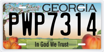 GA license plate PWP7314