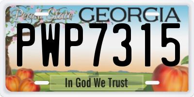 GA license plate PWP7315