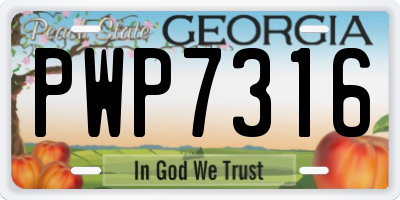 GA license plate PWP7316