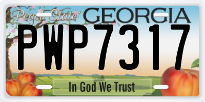 GA license plate PWP7317