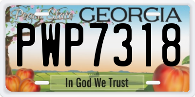GA license plate PWP7318
