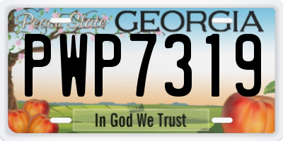 GA license plate PWP7319