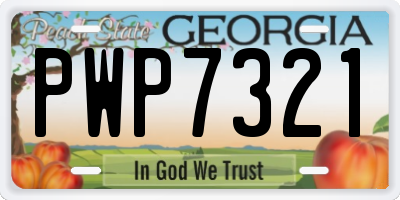 GA license plate PWP7321