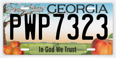 GA license plate PWP7323