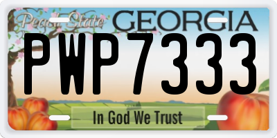GA license plate PWP7333