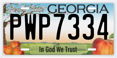 GA license plate PWP7334