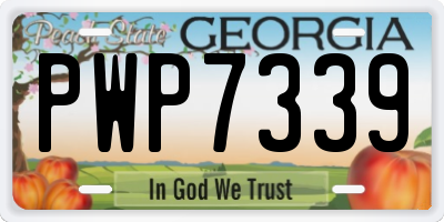 GA license plate PWP7339