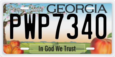 GA license plate PWP7340