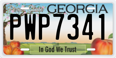 GA license plate PWP7341