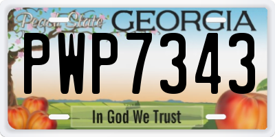 GA license plate PWP7343