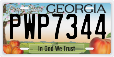GA license plate PWP7344