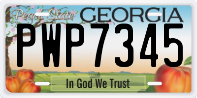GA license plate PWP7345