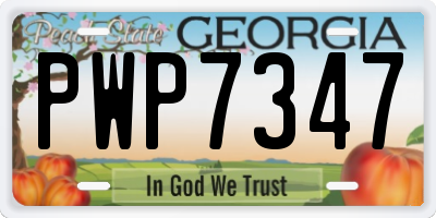 GA license plate PWP7347