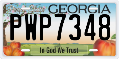 GA license plate PWP7348