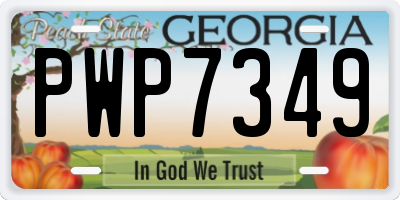 GA license plate PWP7349