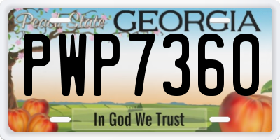 GA license plate PWP7360