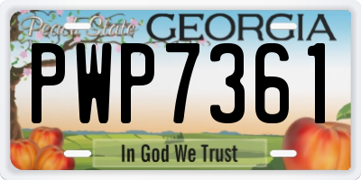 GA license plate PWP7361