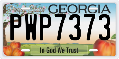 GA license plate PWP7373