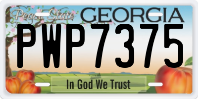 GA license plate PWP7375