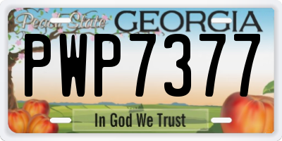 GA license plate PWP7377
