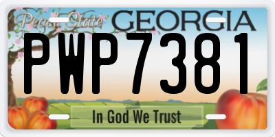 GA license plate PWP7381