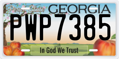 GA license plate PWP7385