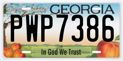 GA license plate PWP7386