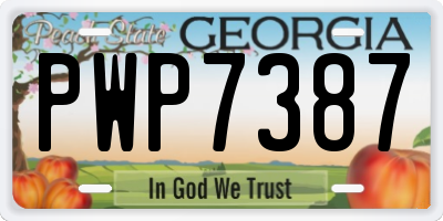 GA license plate PWP7387