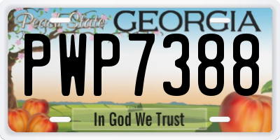 GA license plate PWP7388