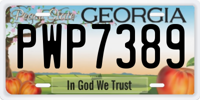 GA license plate PWP7389