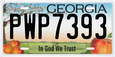 GA license plate PWP7393