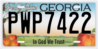 GA license plate PWP7422