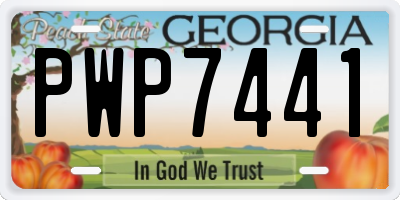 GA license plate PWP7441