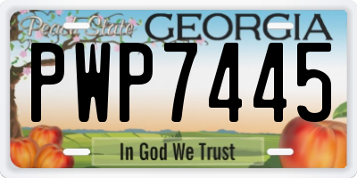 GA license plate PWP7445