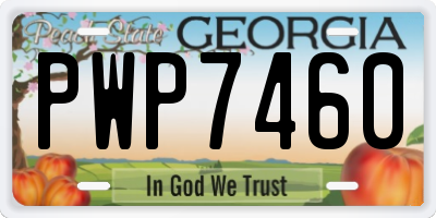 GA license plate PWP7460