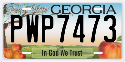 GA license plate PWP7473