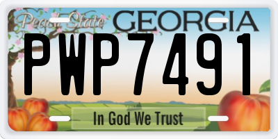 GA license plate PWP7491