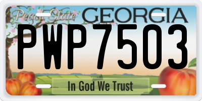 GA license plate PWP7503