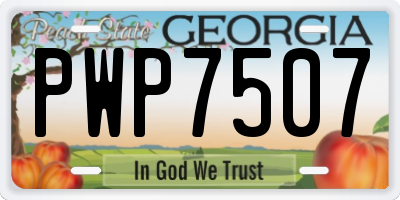GA license plate PWP7507