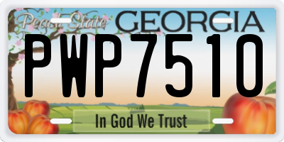 GA license plate PWP7510