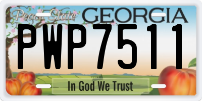 GA license plate PWP7511