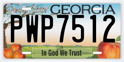 GA license plate PWP7512