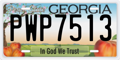 GA license plate PWP7513