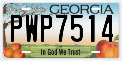 GA license plate PWP7514