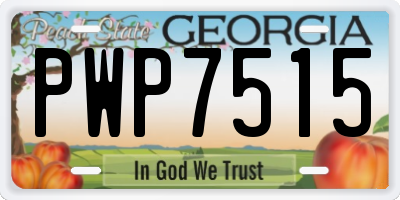 GA license plate PWP7515